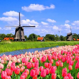 gay travel the netherlands