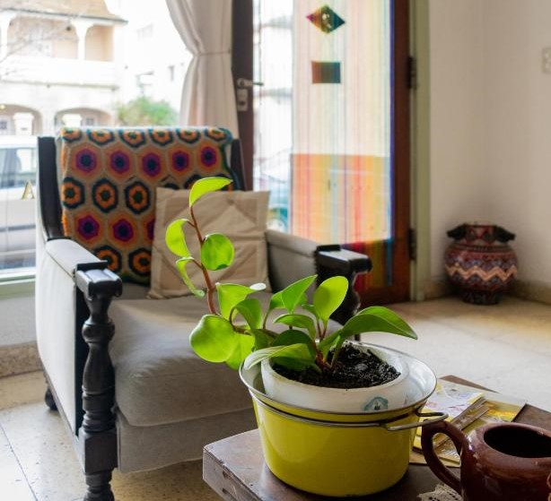 casa nanet hotel hotels for gays argentina mar del plata chair
