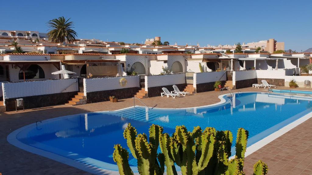 welooveyou solymar calma y pool hotels for gays fuerteventura swimming pool