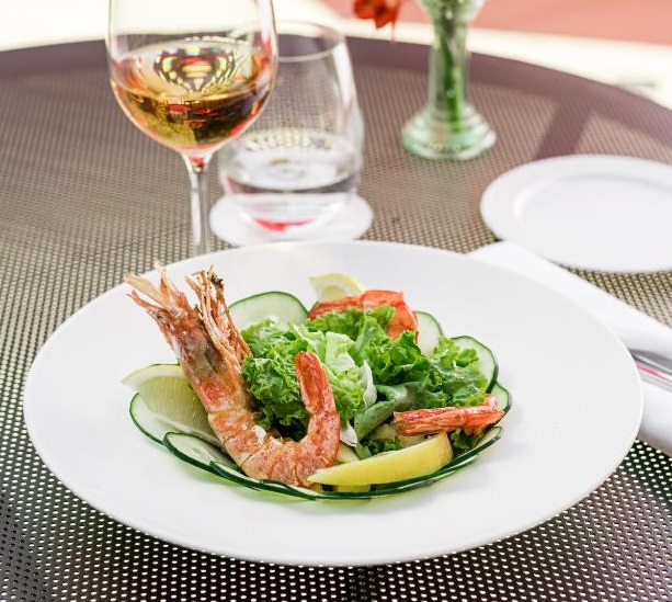 diplomatichotel hotels for gays mendoza restaurant