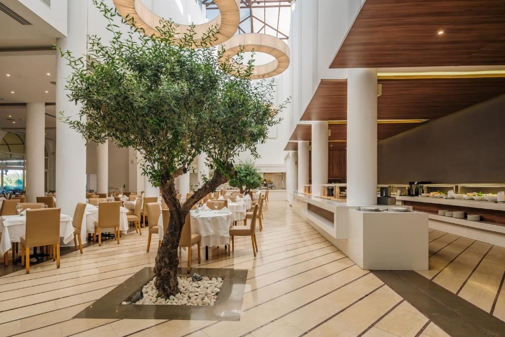 lindos royal resort hotels for gays rhodes restaurant