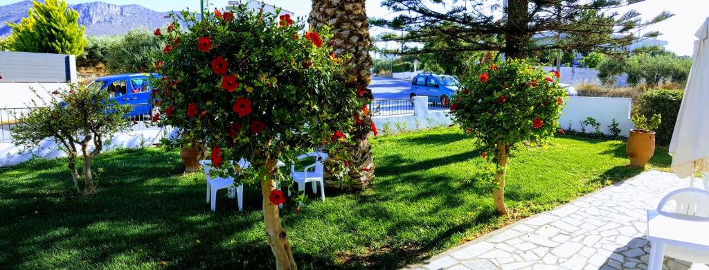 mastorakis hotel and studios hotels for gays crete garden