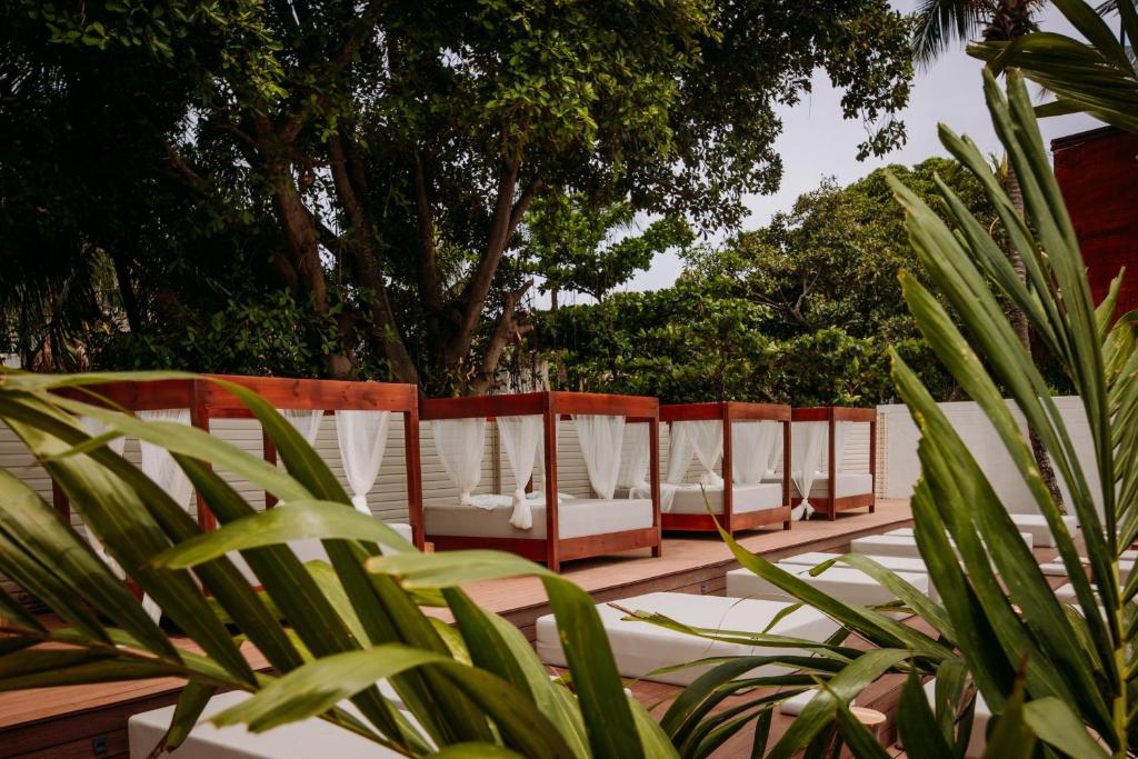 dreamer beach club hotels for gays san andres terrace