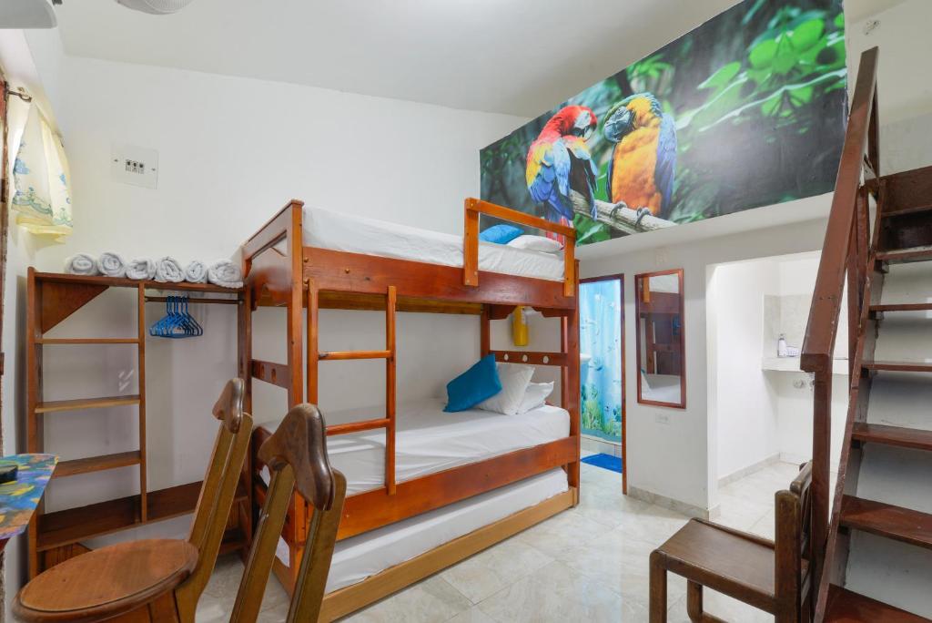 posada amaripucci hotels for gays san andres room