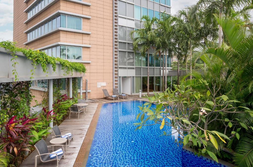 park avenue rochester hotels for gays singapore swimming pool